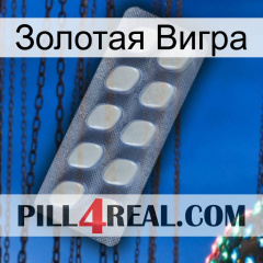 Золотая Вигра 08